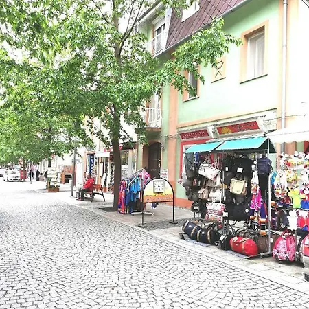 Joko Centrum Apartman 公寓